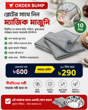 ১০ পিস silver মাজুনি